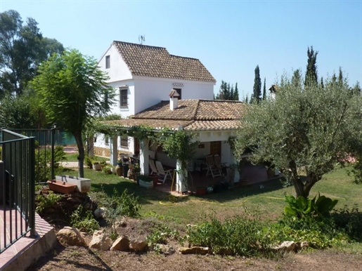 Villa in Pino Panera - Campolivar - Godella