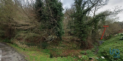 Tierra en el Viana do Castelo, Valença