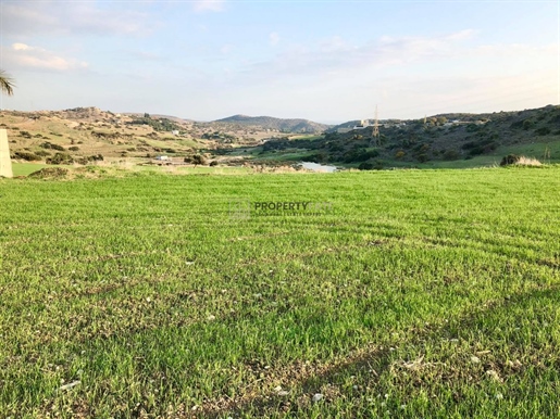 Agricultural Land in Pareklisia
