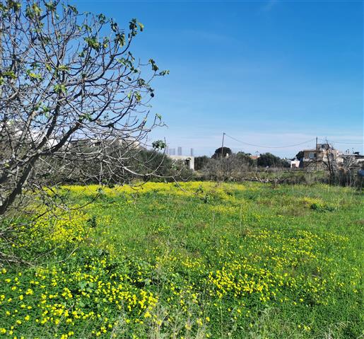 Terrain plat et constructible, Chania - Crete