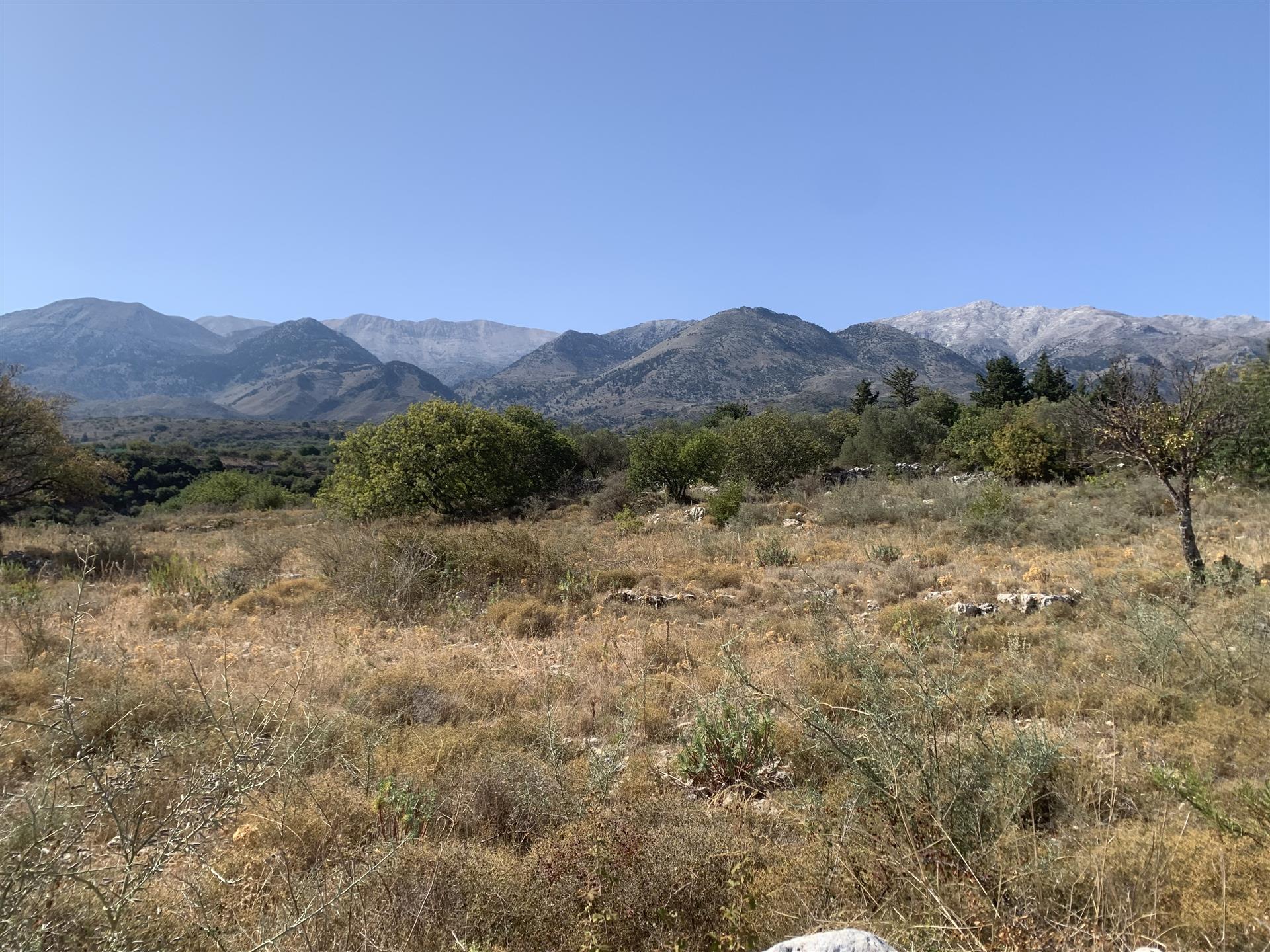 Flaches Baugrundstück mit Berg- und Meerblick bei Kalyves, Kreta