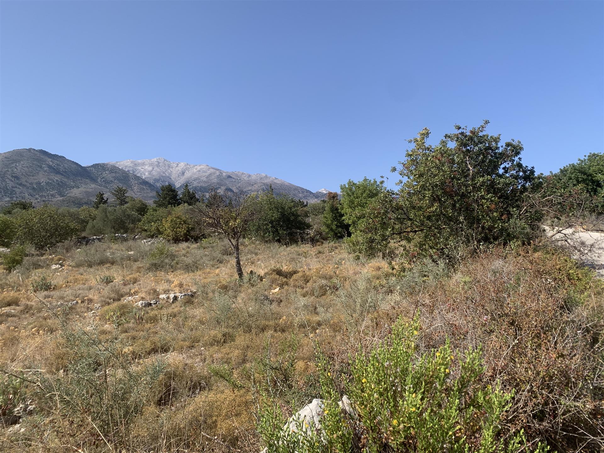 Flaches Baugrundstück mit Berg- und Meerblick bei Kalyves, Kreta