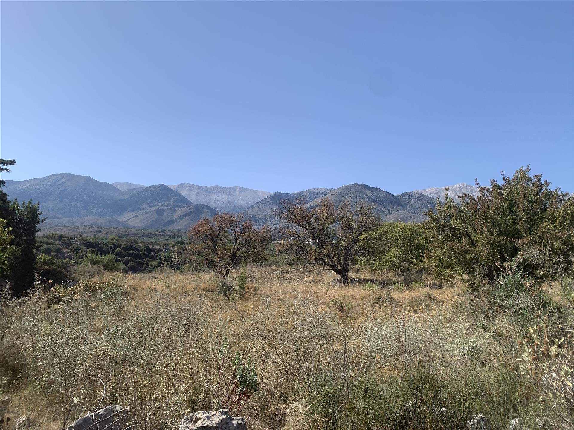 Flaches Baugrundstück mit Berg- und Meerblick bei Kalyves, Kreta