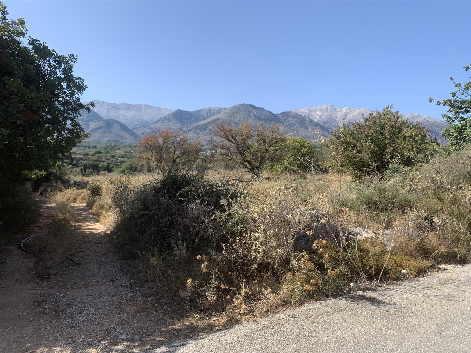 Flaches Baugrundstück mit Berg- und Meerblick bei Kalyves, Kreta