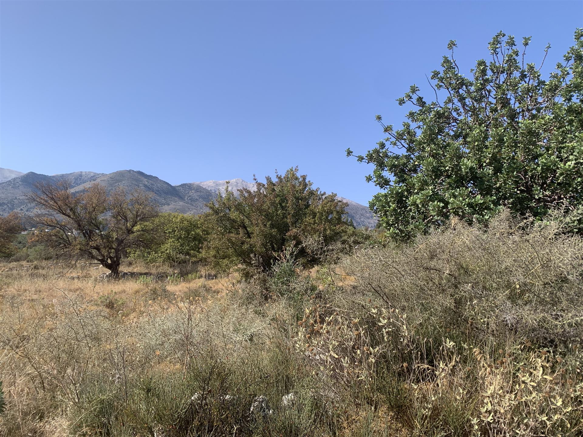 Flaches Baugrundstück mit Berg- und Meerblick bei Kalyves, Kreta