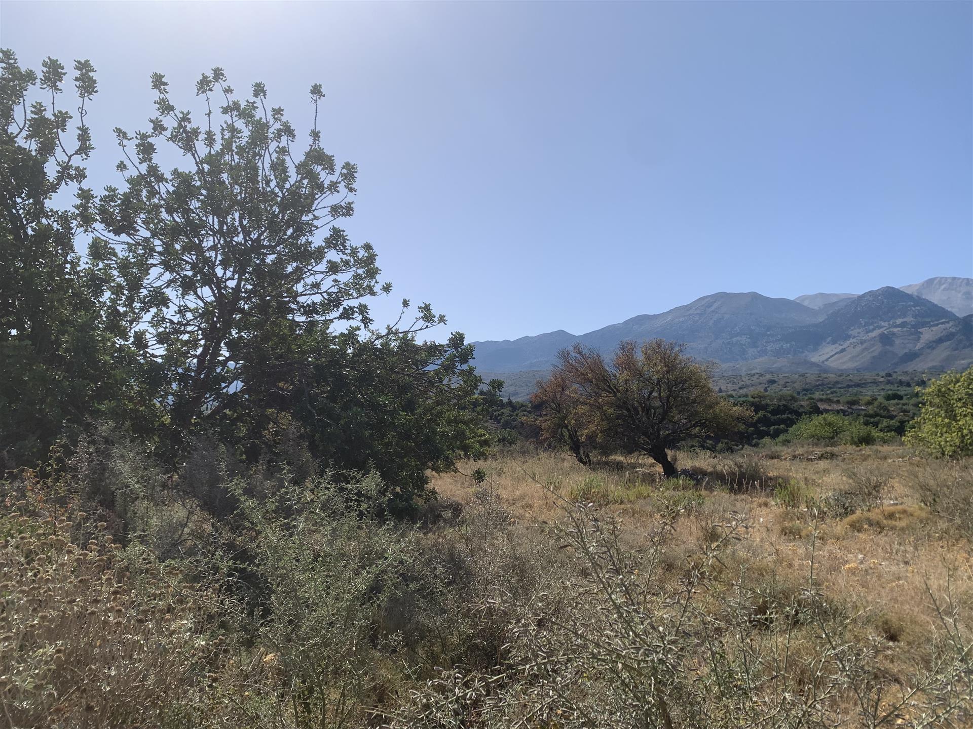 Flaches Baugrundstück mit Berg- und Meerblick bei Kalyves, Kreta