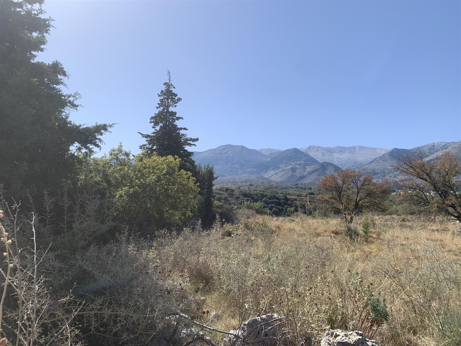 Flaches Baugrundstück mit Berg- und Meerblick bei Kalyves, Kreta
