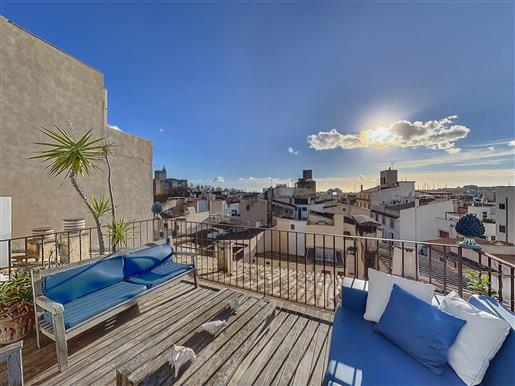 Luxury Penthouse For Sale In Paseo Del Borne