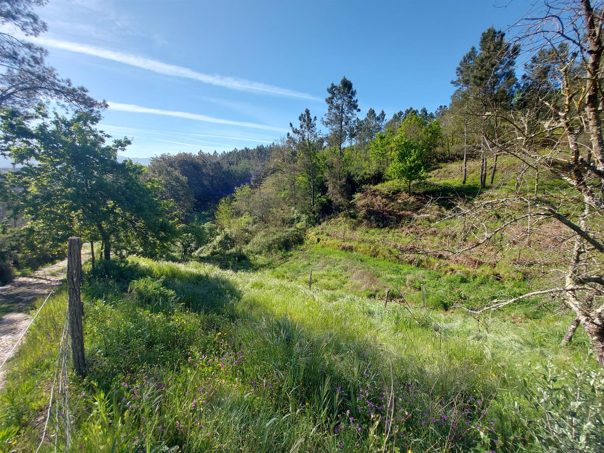 Land with 20000 next to the Côja River