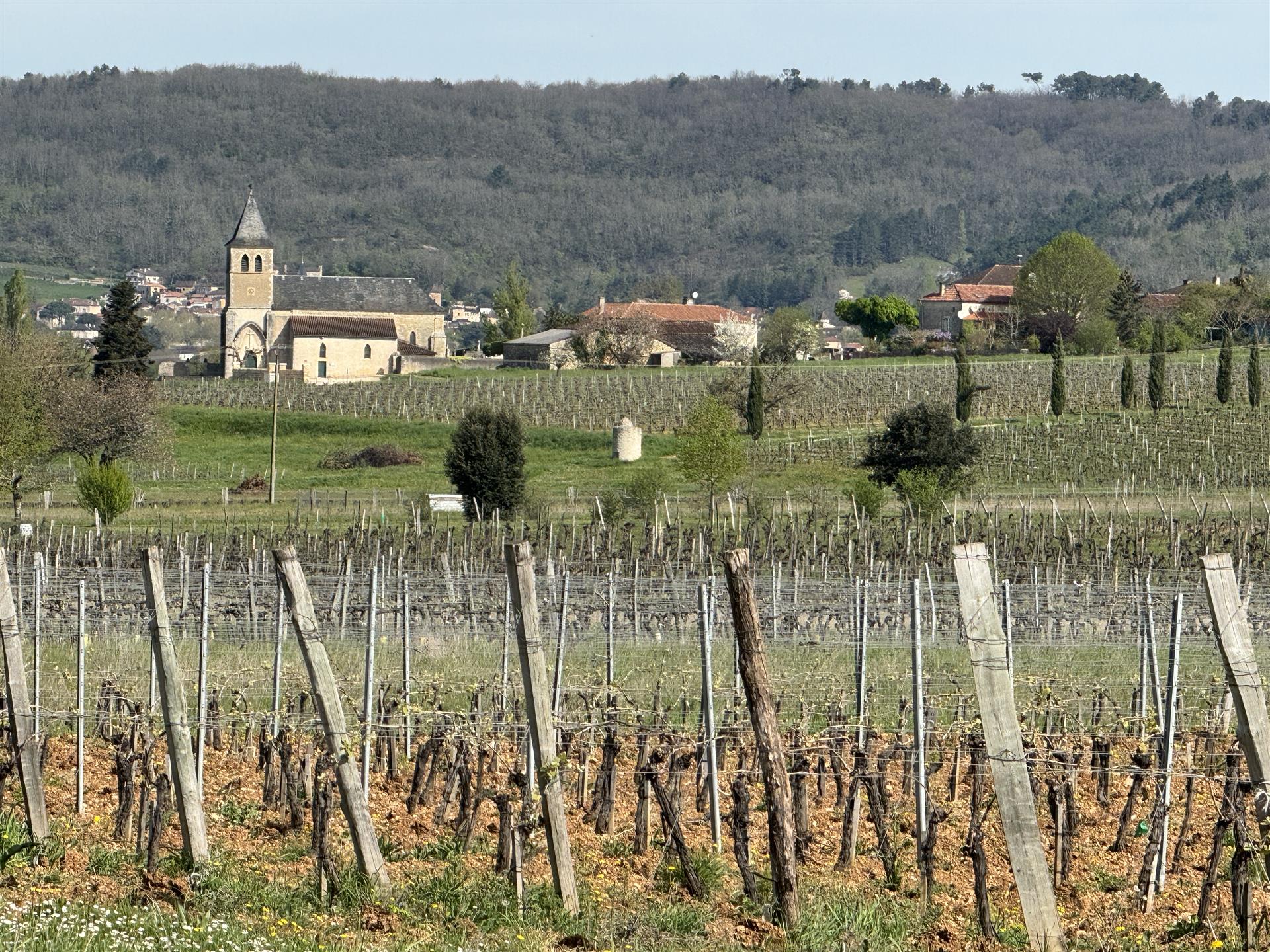 Domaine viticole Aoc Cahors et habitation 