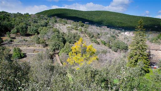 Cevennes old mill to restore on property of 2.15 ha