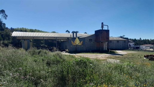 Fabrik / Instrustrie Verkaufen in Regueira de Pontes,Leiria