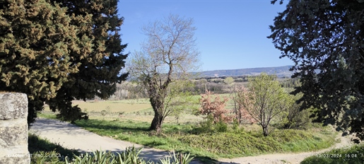 House and wine estate on 57 hectares - Vineyards in AOP