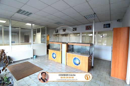 Multipurpose business premises 356 m2 with parking