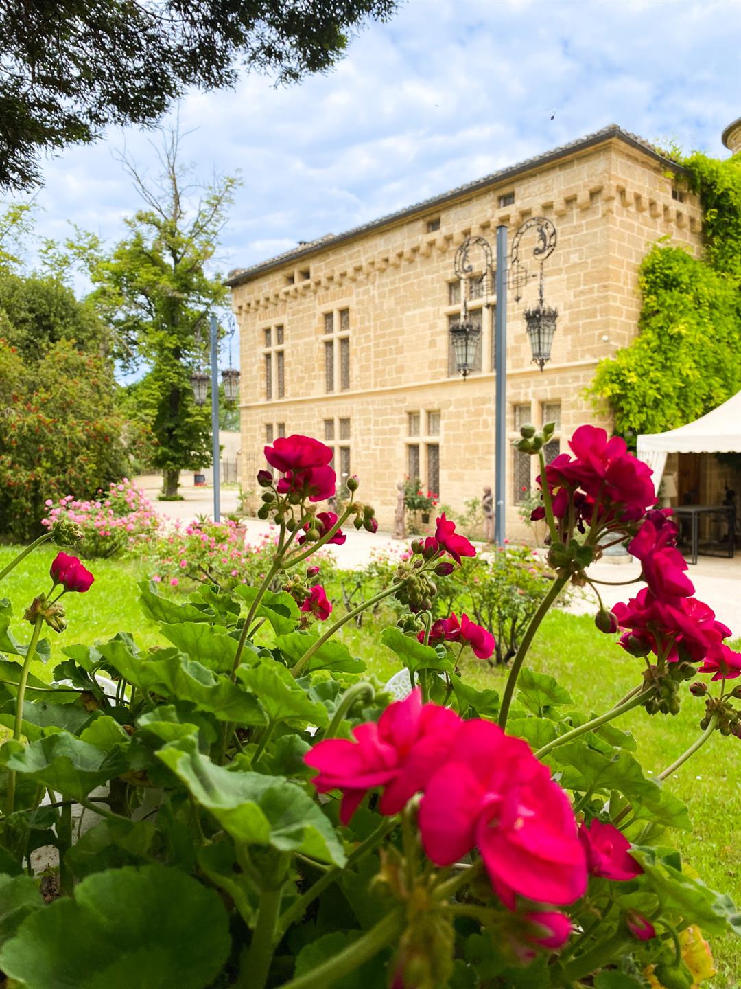 Castle - Exceptional residence - Vaucluse Châteauneuf-du-pape