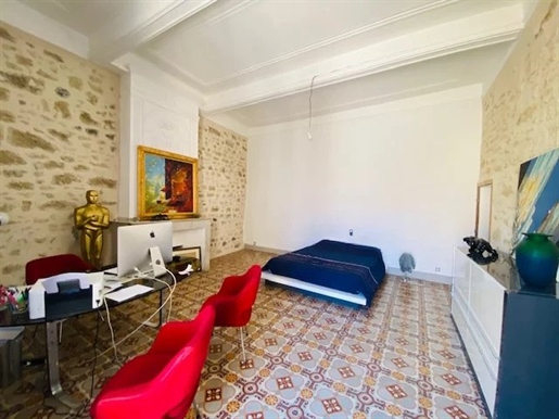 Renovation project of a magnificent Hotel Particulier in the heart of Pezenas
