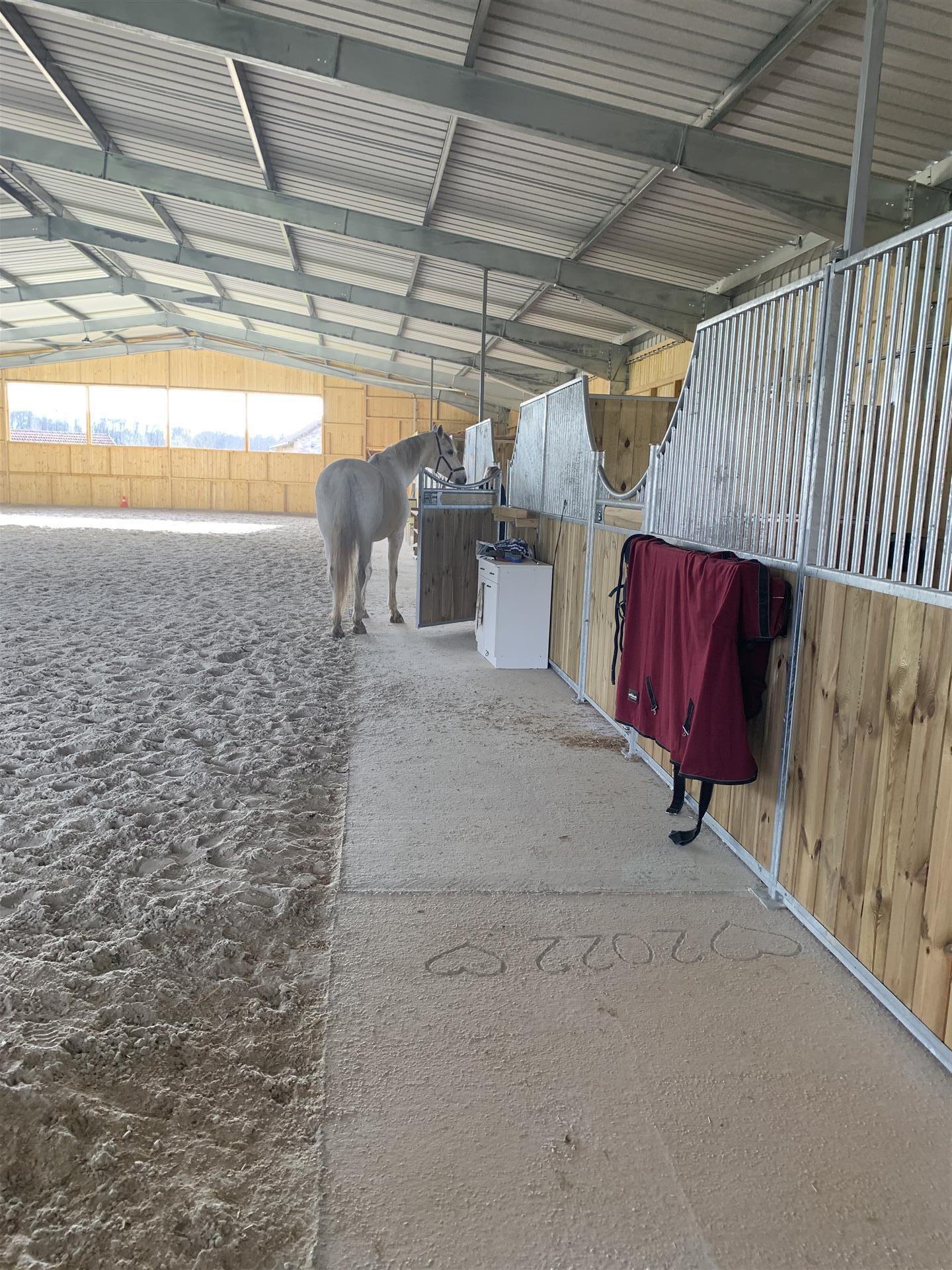 Well-Kept horse farm, 1 hour from Basel, equestrian property for sale