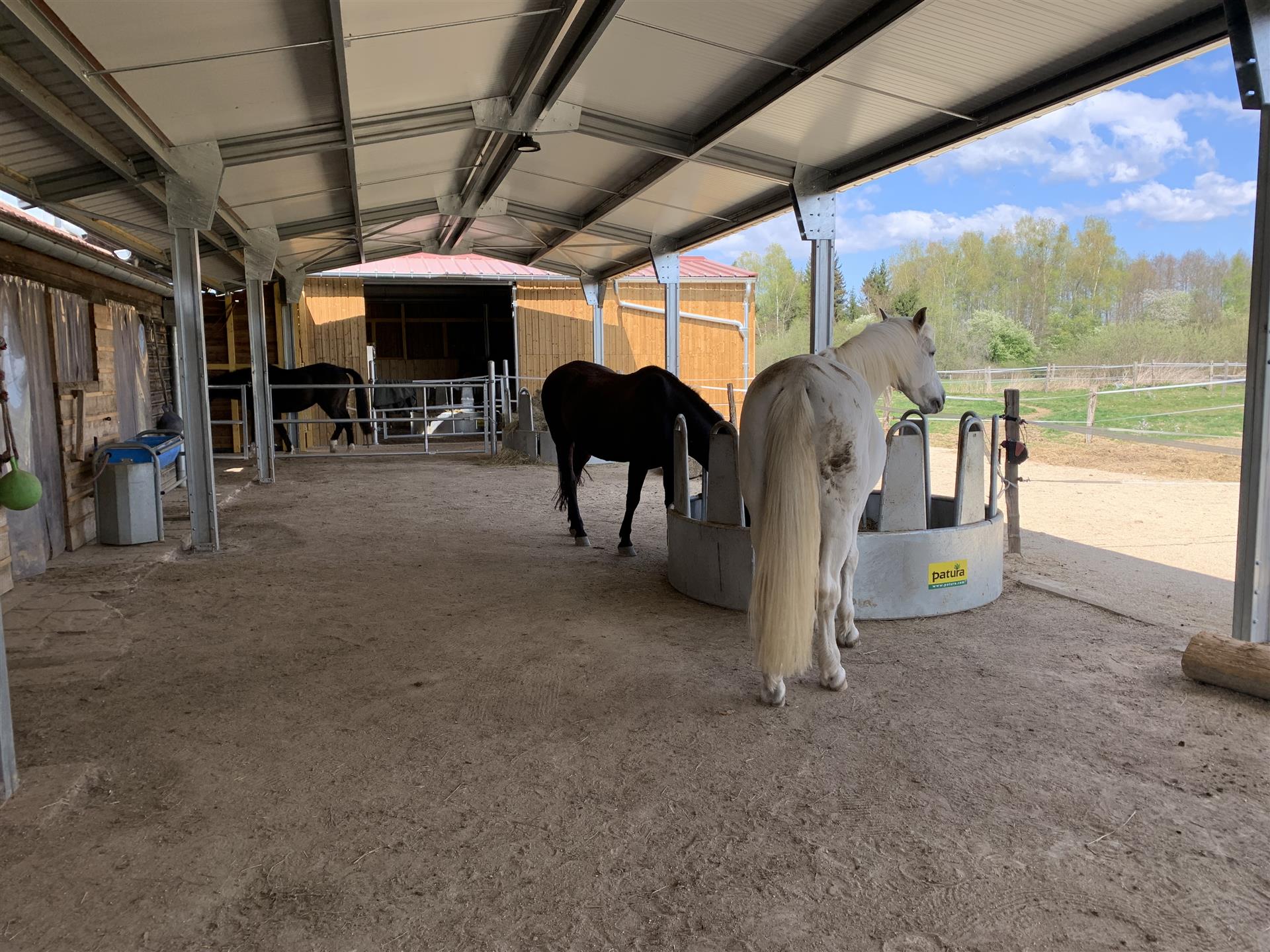 Well-Kept horse farm, 1 hour from Basel, equestrian property for sale