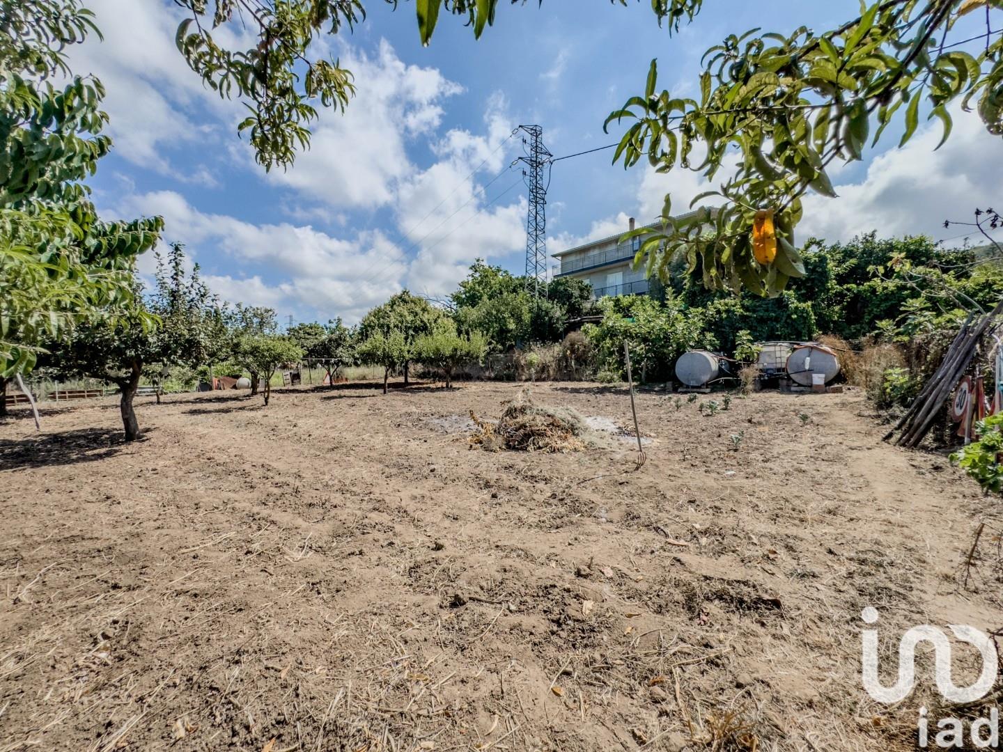 Sale Building / Building 406 m² - Joppolo