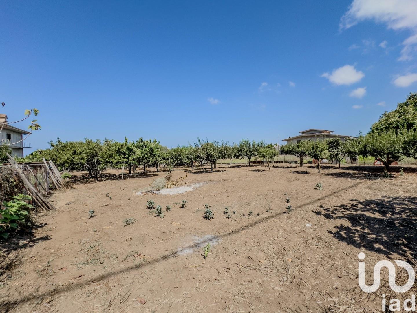 Sale Building / Building 406 m² - Joppolo
