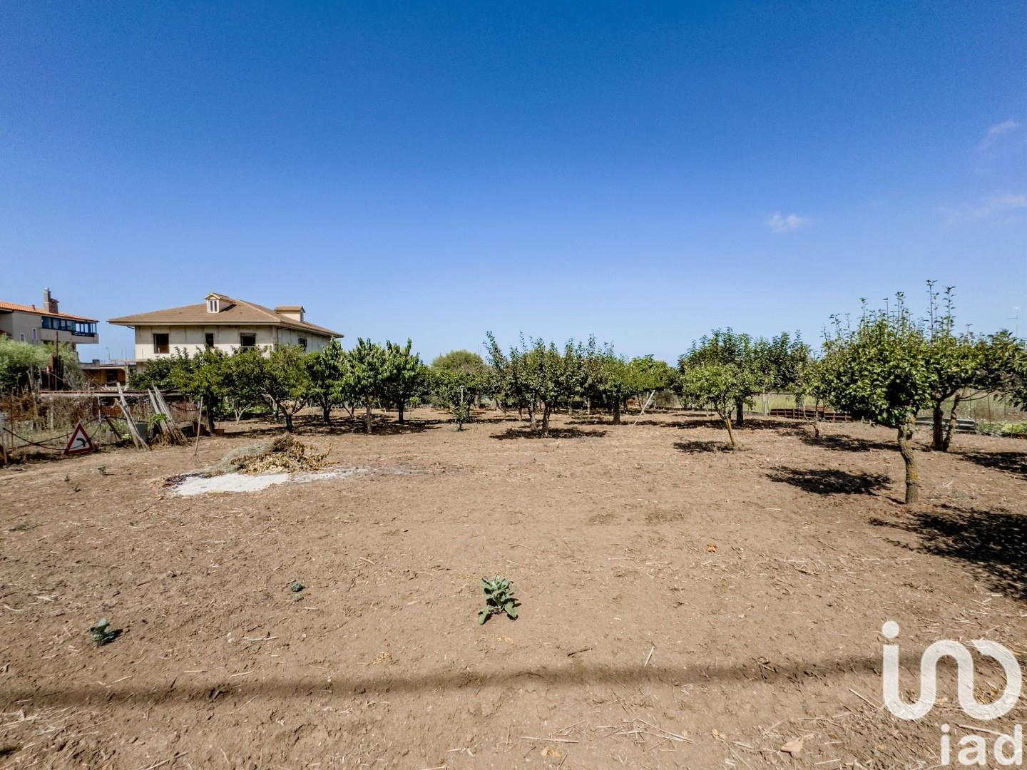 Sale Building / Building 406 m² - Joppolo