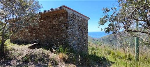 3 Casas de campo con vistas al mar en la costa del Cilento (Parque Marino)