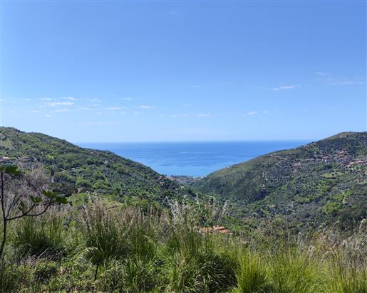 Change life! Come to Italy in Cilento: 3 Country houses on coast in marine park.