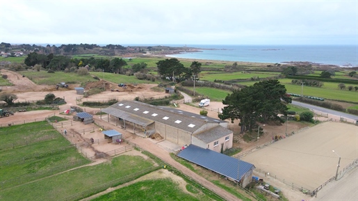 Pony club by the sea, on 5.6 ha - North Channel sector