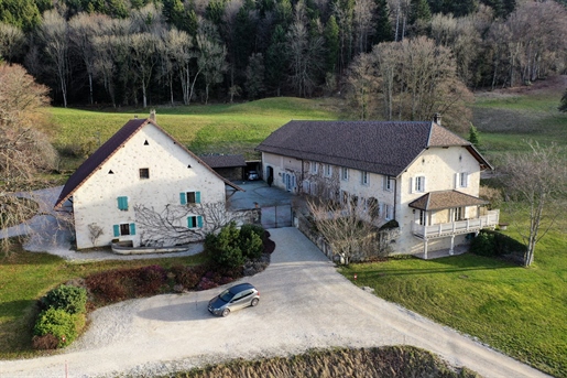 Luxe onroerend goed in de buurt van Genève