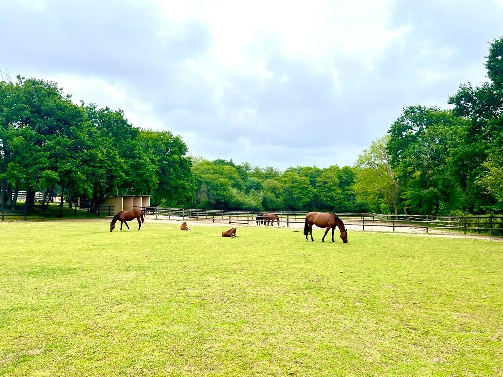 Equestrian estate a stone's throw from the sea on 3.3 Ha Sector Bi