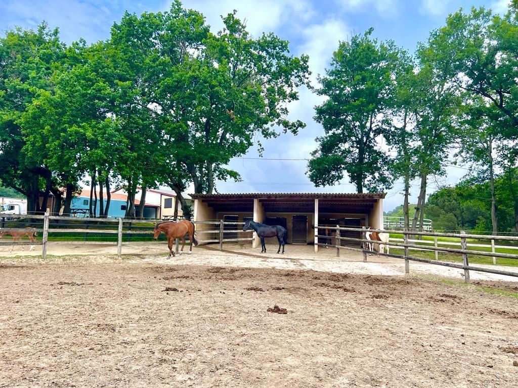 Equestrian estate a stone's throw from the sea on 3.3 Ha Sector Bi
