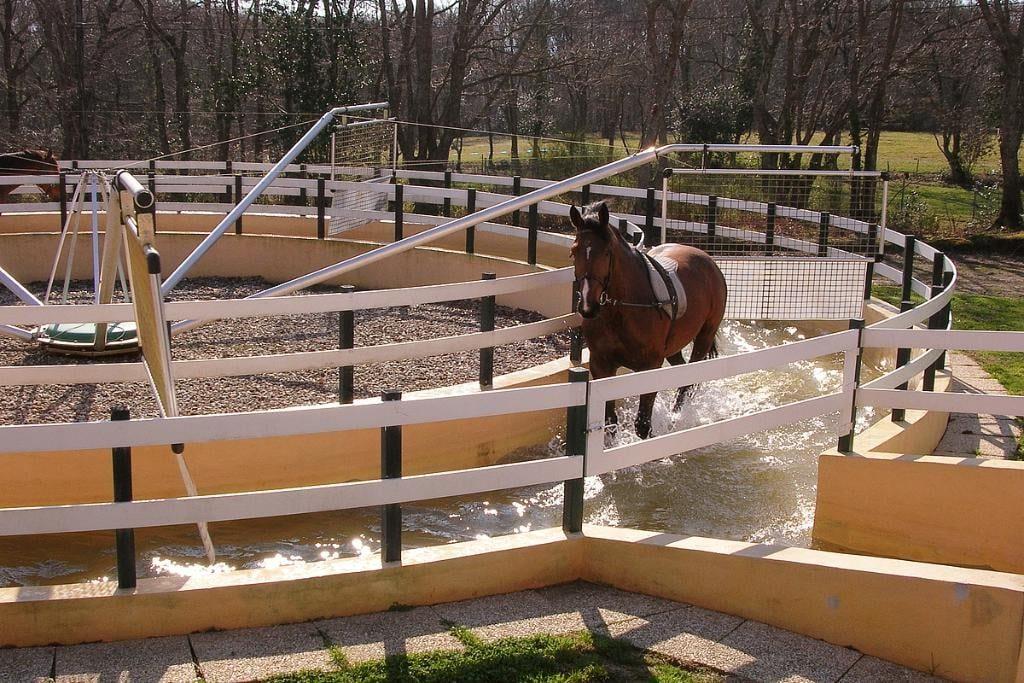 Equestrian estate a stone's throw from the sea on 3.3 Ha Sector Bi