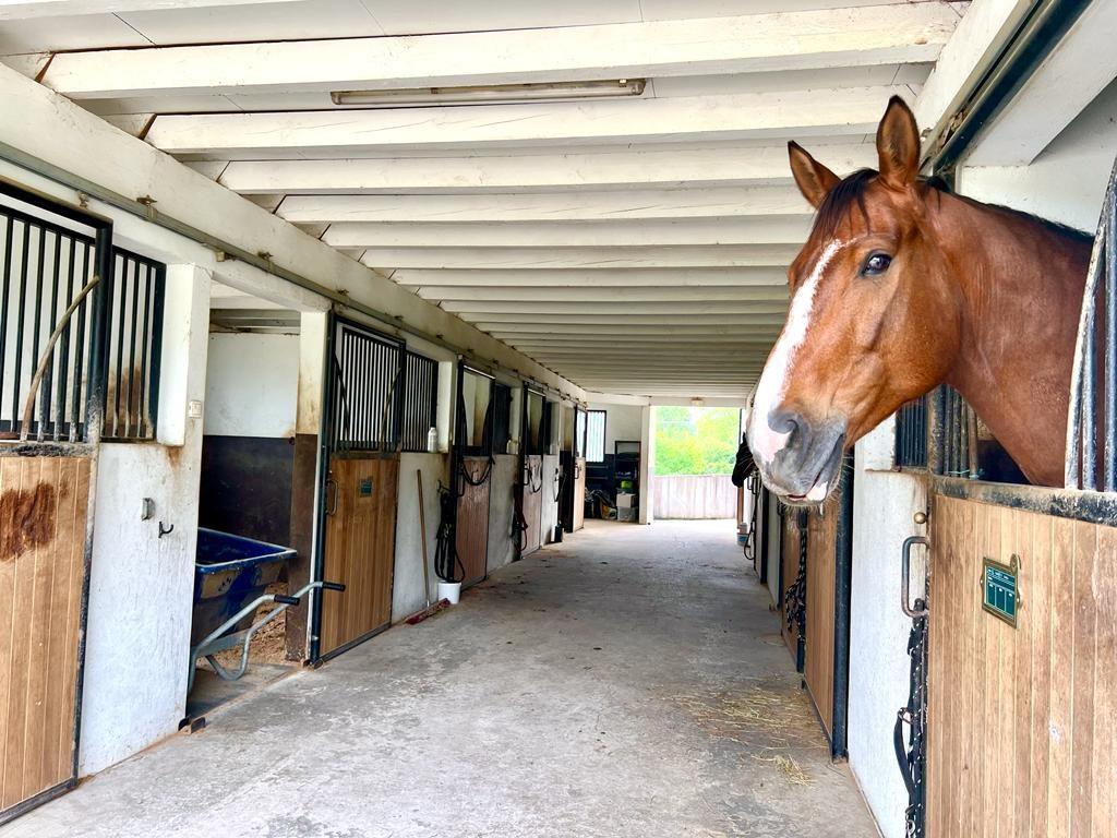 Equestrian estate a stone's throw from the sea on 3.3 Ha Sector Bi