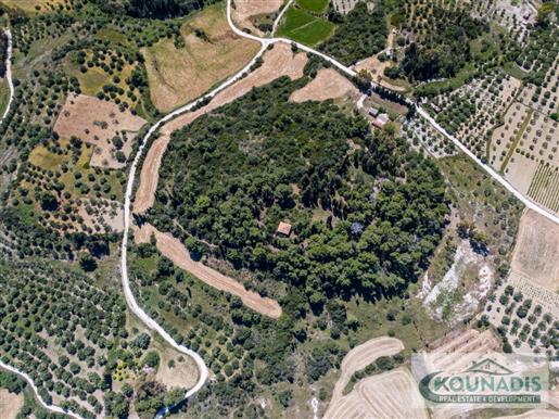 Plot Of Land In Lixoyri, Kefalonia