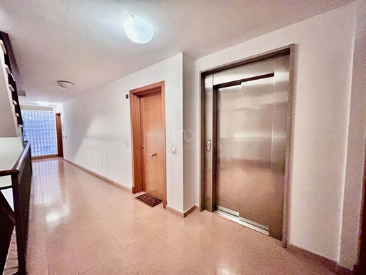 Apartamento 1 dormitorios - 56.00 m2