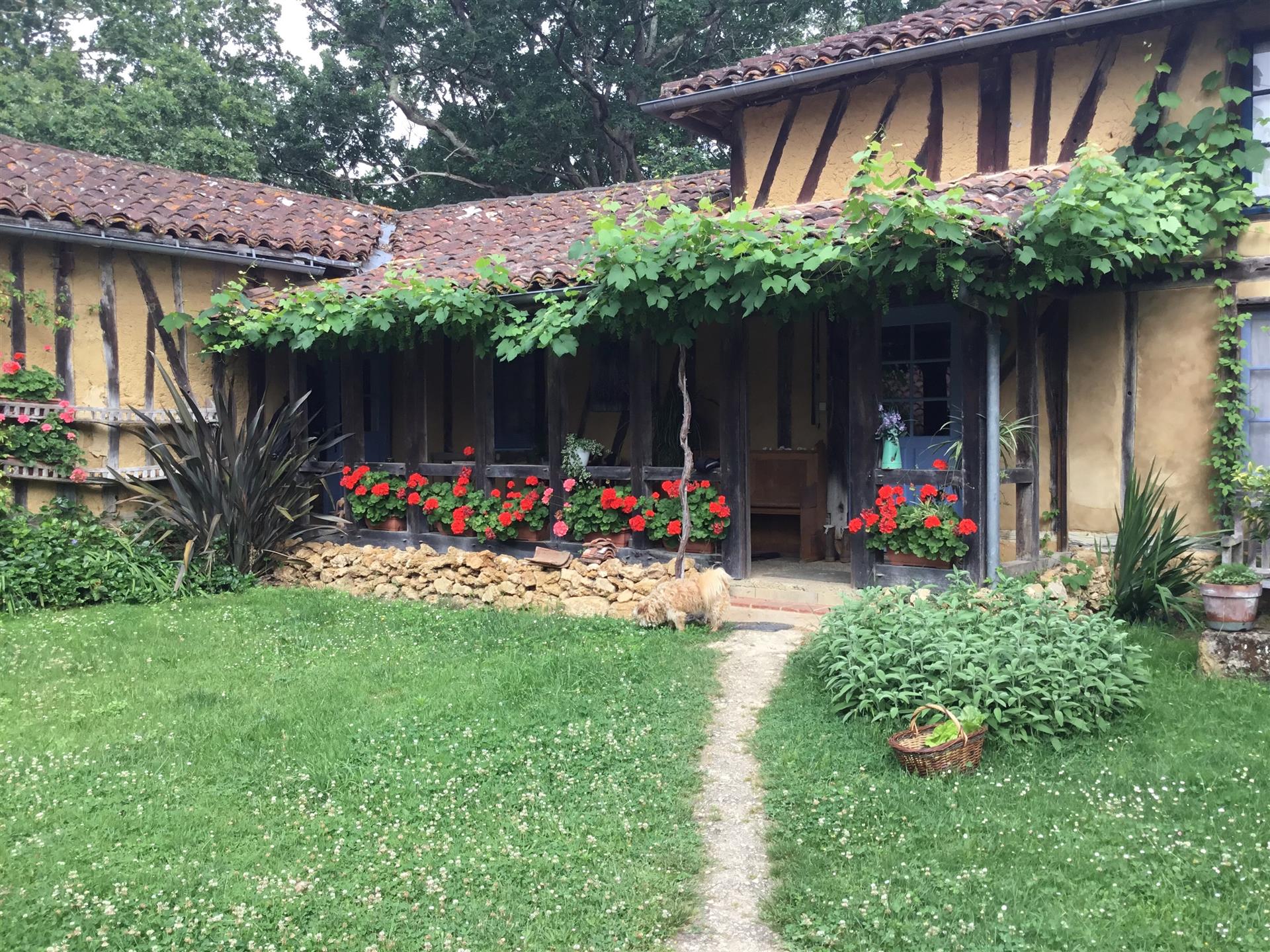Organic Farm - 1 House and 1 Gite - 18 To 25 Hectares
