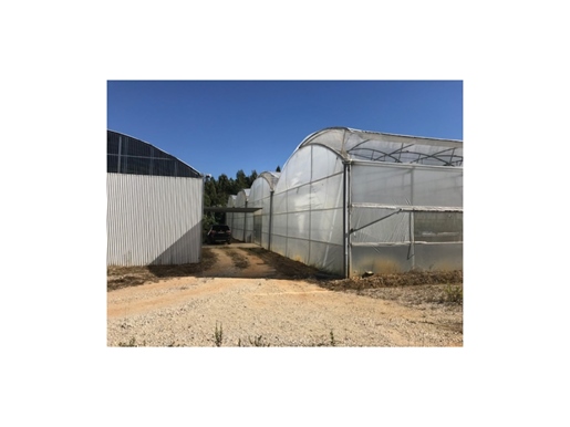 Land with greenhouse in Soure, Coimbra