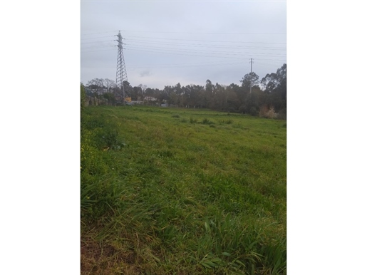 Land with a total area of 5900sq.m in a residential area in Nogueira da Regedoura.