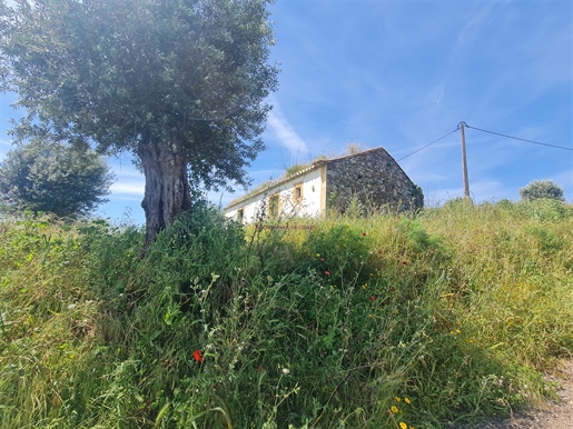 Landbesitz Verkaufen in Mouriscas,Abrantes