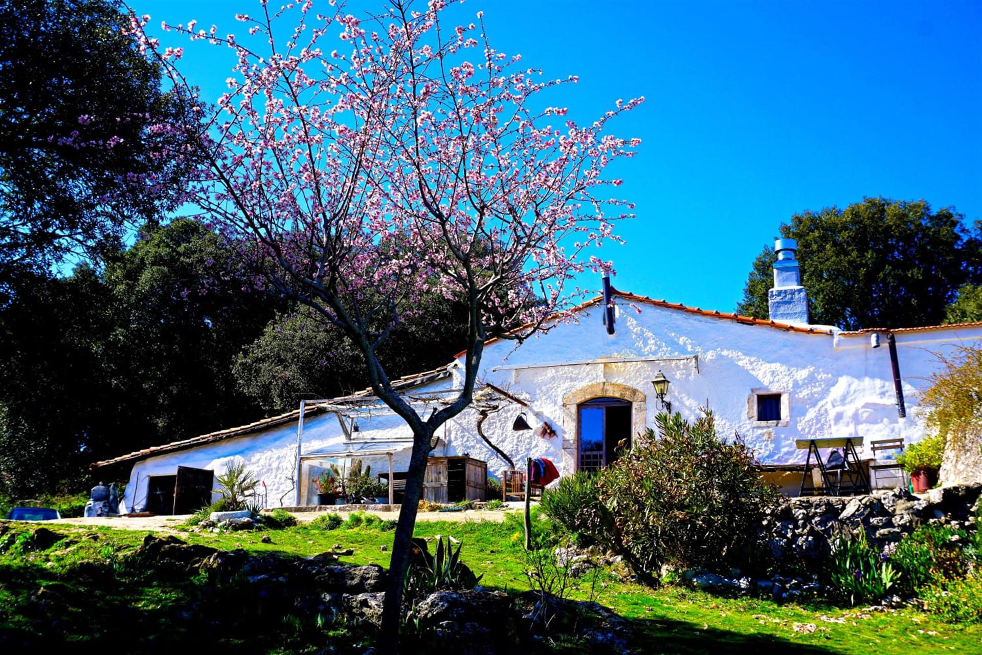 Casa de campo de Puglia/Masseria, cerca del mar, hermosa vista