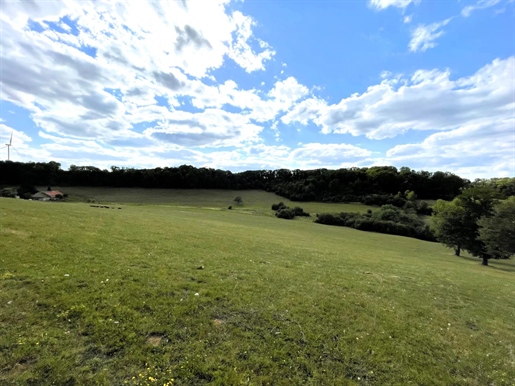 Vast Countryside Property Of 48.7Ha