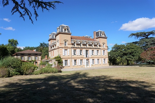 Splendide Château , 35' Sud Tlse , superbe !!