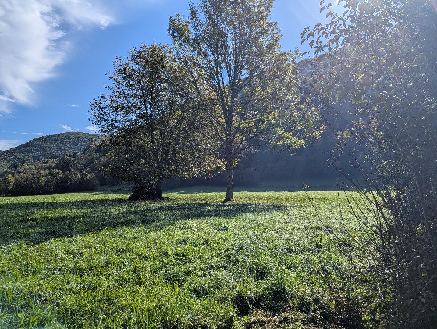 Maison à vendre, 94m², Nescus