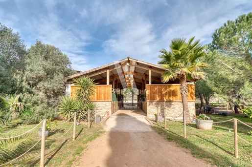 Unique equestrian property of charm 41 boxes - Covered ride - Villa 330 m² - 3.5 hectares flat
