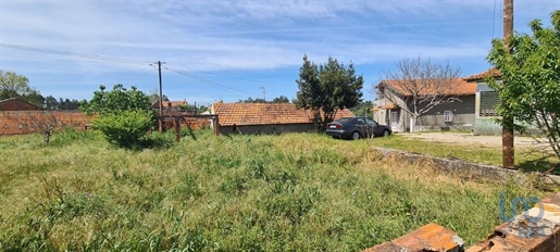 Ground in Santo André de Vagos with 765,00 m²