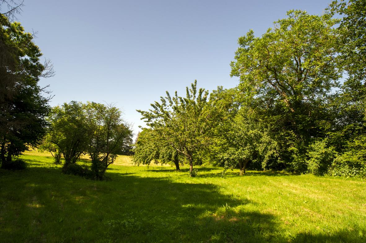 Paraíso No Sul fRANKRIJK