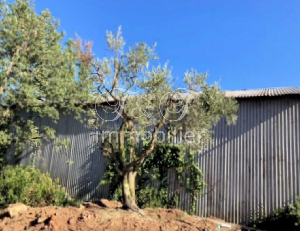Belle maison avec piscine sur 2 ha de terrain