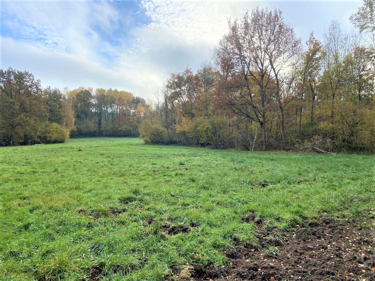Bois de 23.5 ha avec étangs et clairières (proche Laon, Aisne)