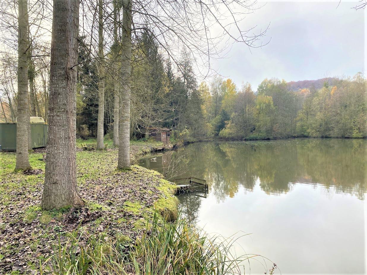 Bois de 23.5 ha avec étangs et clairières (proche Laon, Aisne)