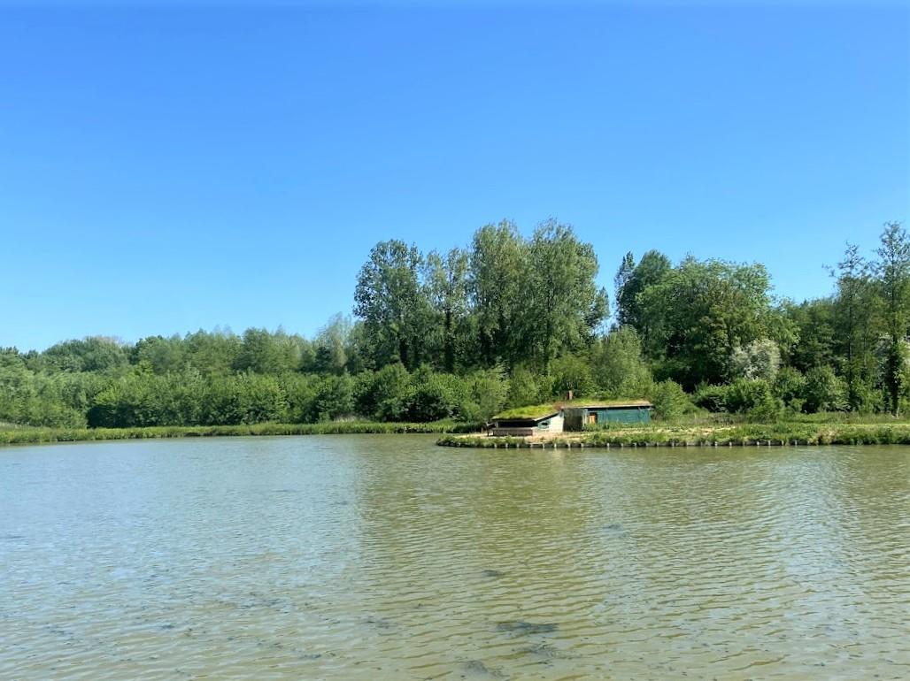 Propriété avec hutte de chasse , étang poissonneux avec sources, parties boisées